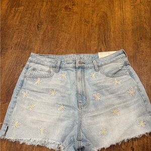 American Eagle Outfitters Women's Light Blue Embroidered Shorts